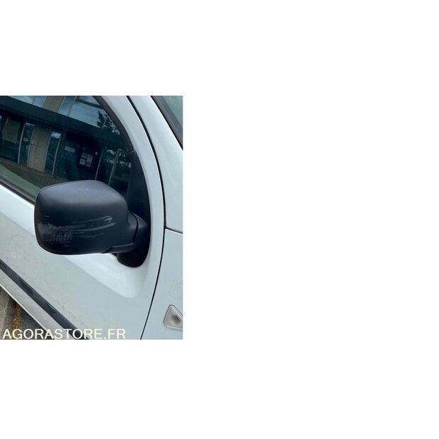 2010 Renault Kangoo-48080041