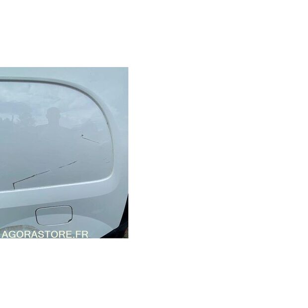 2010 Renault Kangoo-48080045