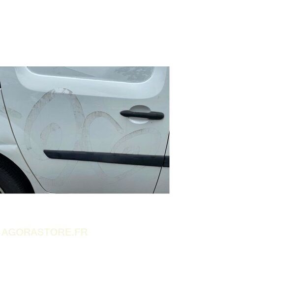 2010 Renault Kangoo-48080051