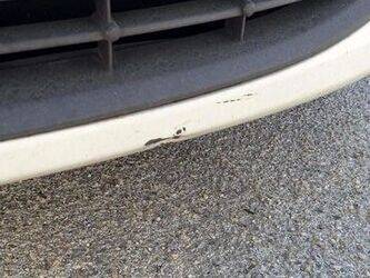 2011-ford-ka-1466550-48105119