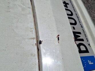 2011-ford-ka-1466550-48105147