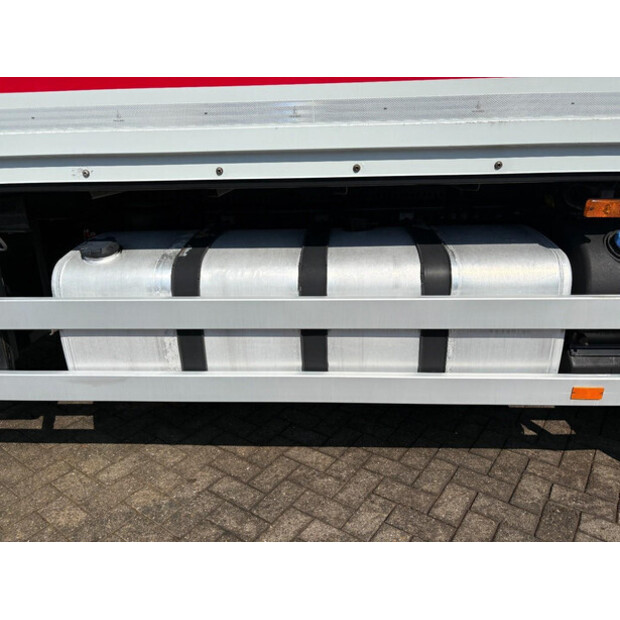 2012 Renault PREMIUM-48111827