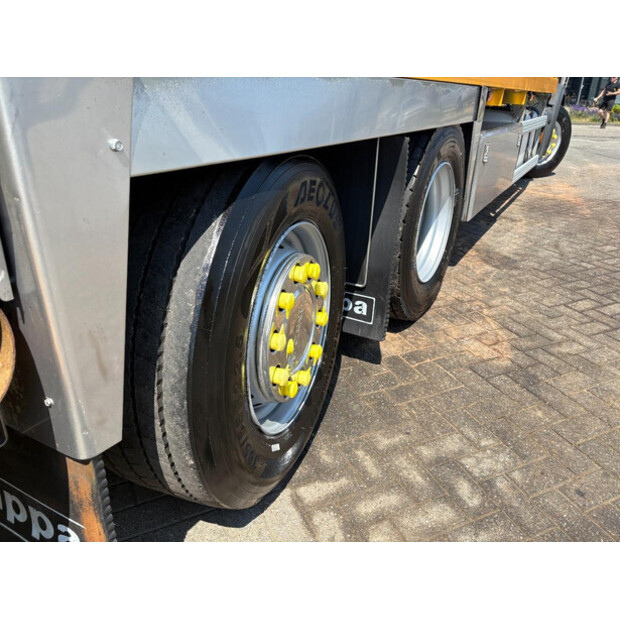 2010 Scania R480-48129612