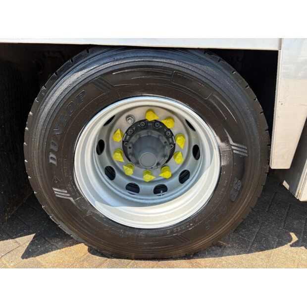 2010 Scania R480-48129635