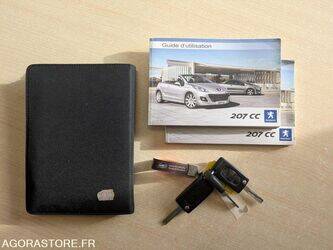 2010-peugeot-207-1467717-48155398