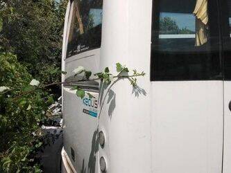 2012-iveco-daily-1468032-48177576