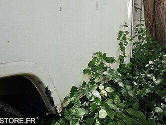renault-master-1468263-48200490