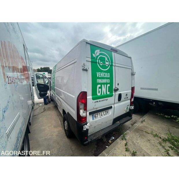 Fiat Ducato-48202005