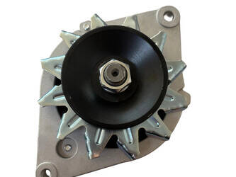 alternators-qingdao-promising-new-48233507