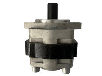 Image for PUMPS PUMPS Qingdao Promising New