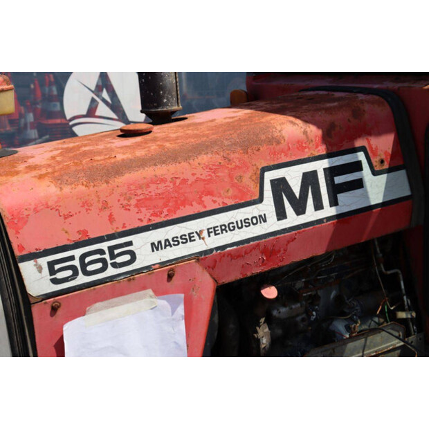 1979 Massey Ferguson 565-48235339