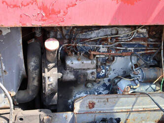 1979-massey-ferguson-565-48235351