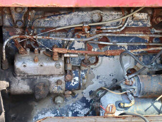 1979-massey-ferguson-565-48235352