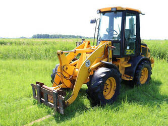 2004-jcb-slp-407-48240443