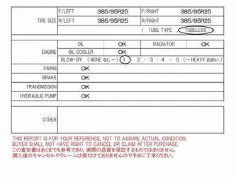 2013-tadano-gr-250n-3-48259585