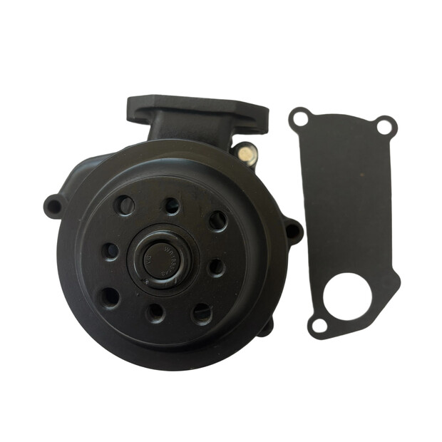 2026 Qingdao Promising Water Pump for YTO YT4B2-24 Engine-48333009