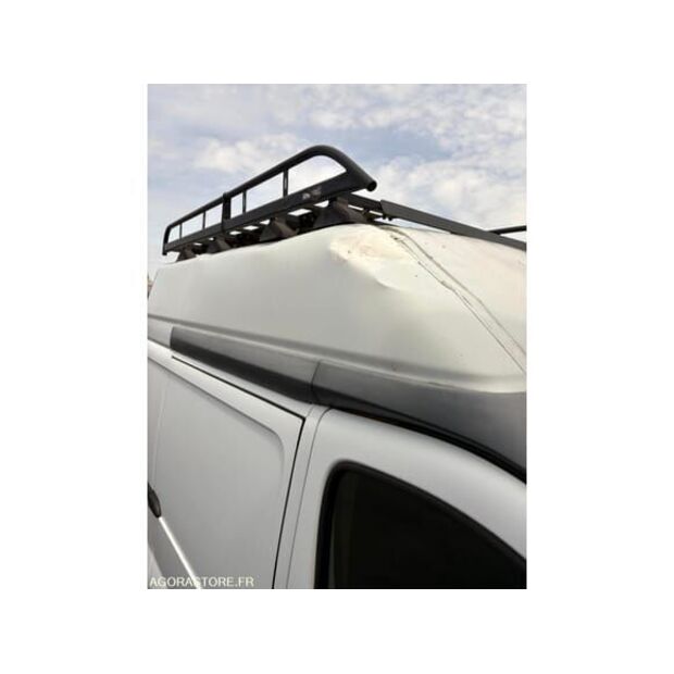 Renault Trafic-48368621