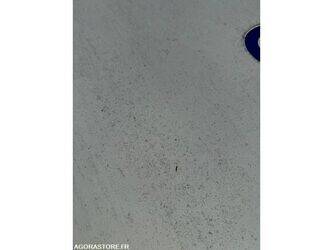 renault-clio-1470301-48390972
