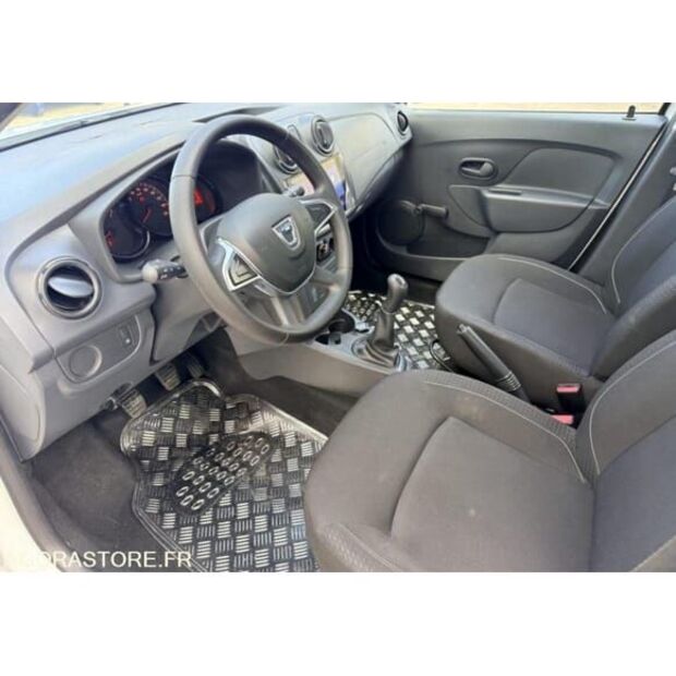 2020 Dacia SANDERO-48391403