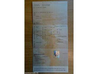2010-renault-maxity-1461143-48394029