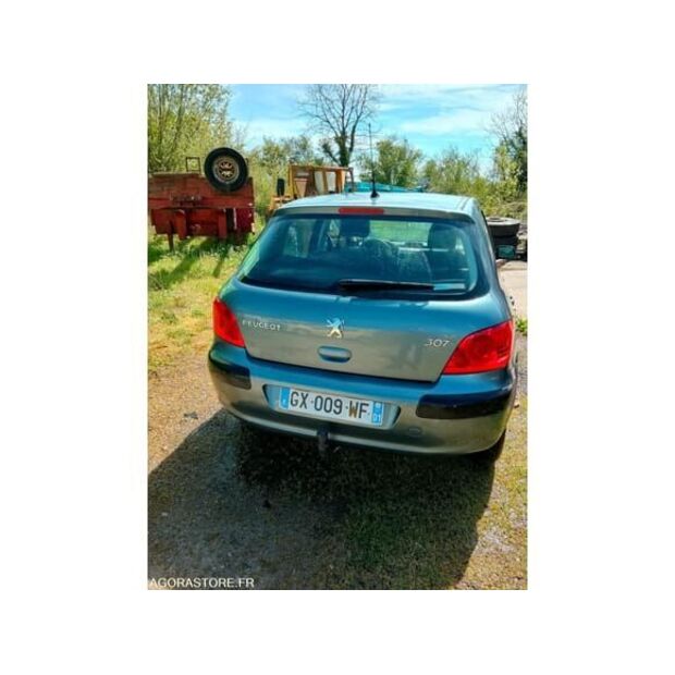 بيجو 307-48417819