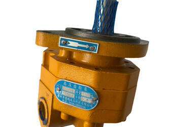 pumps-qingdao-promising-new-1471024-48423220