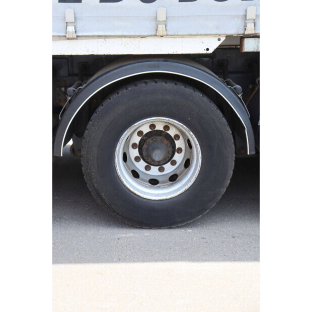 Scania P320-48519223