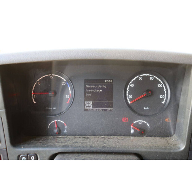 Scania P320-48519249