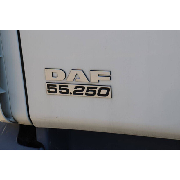 2008 DAF LF 55.250-48519403