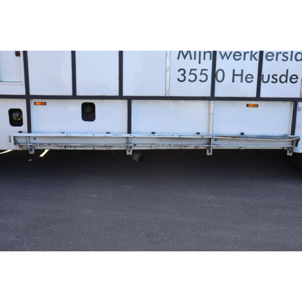 2008 DAF LF 55.250-48519409