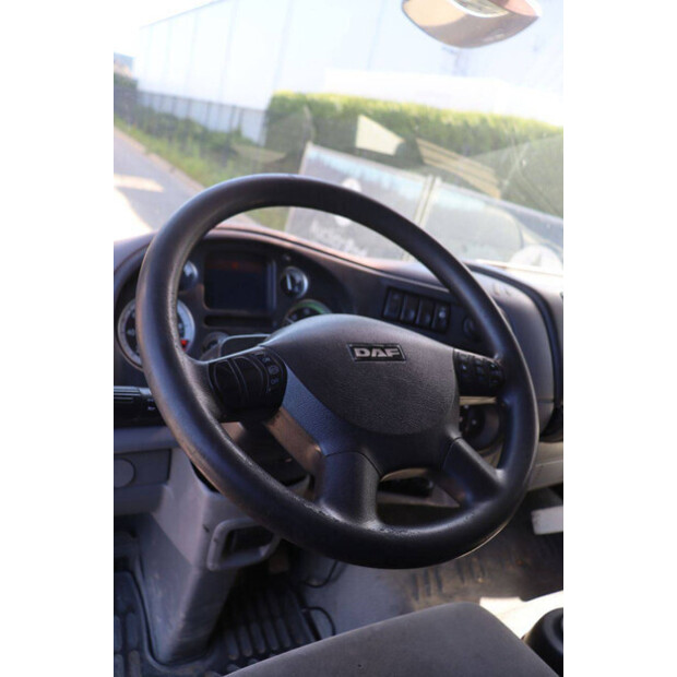 2008 DAF LF 55.250-48519423