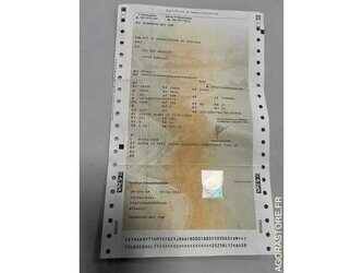 2015-renault-d-wide-1473023-48528520