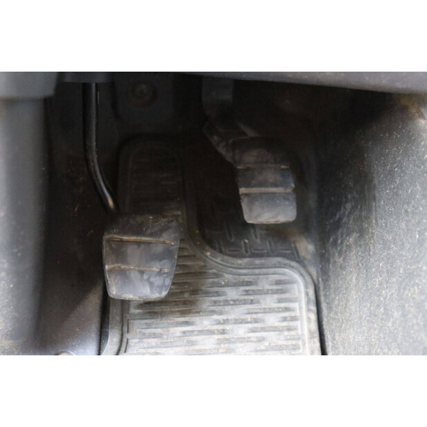 2009 Scania P320-48590490