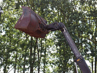 2012-jcb-515-40th-48590611