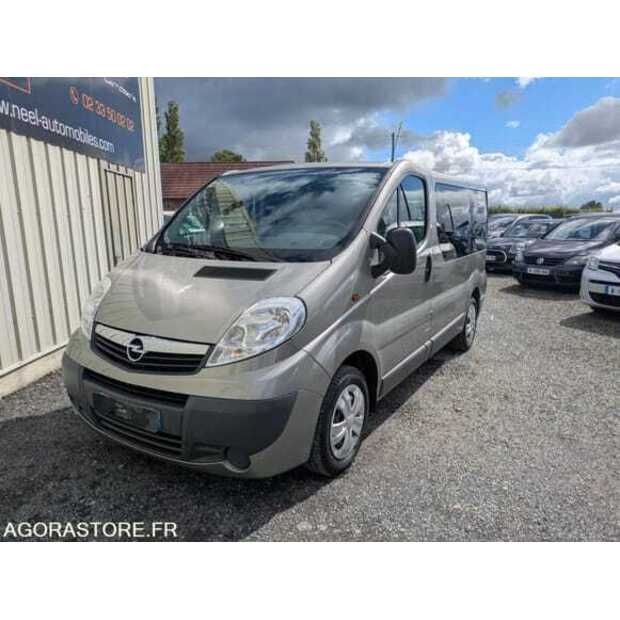 2009 أوبل Vivaro-48805464
