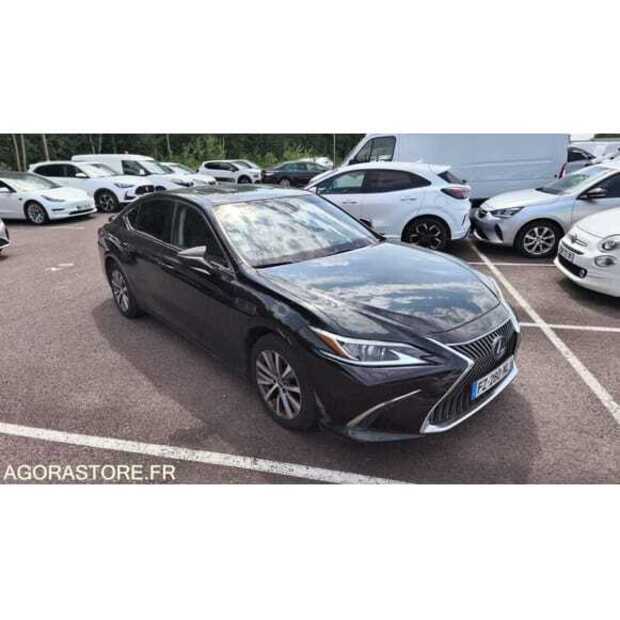 2021 LEXUS ES300H-48864231