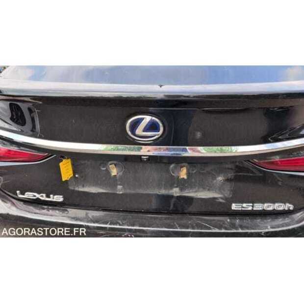 2021 LEXUS ES300H-48864235