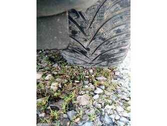2006-ford-focus-1480755-48885650