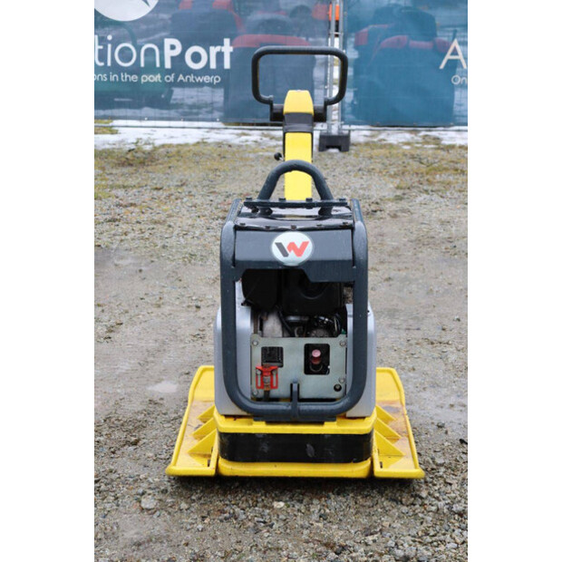 Neuson DPU5545-48892336