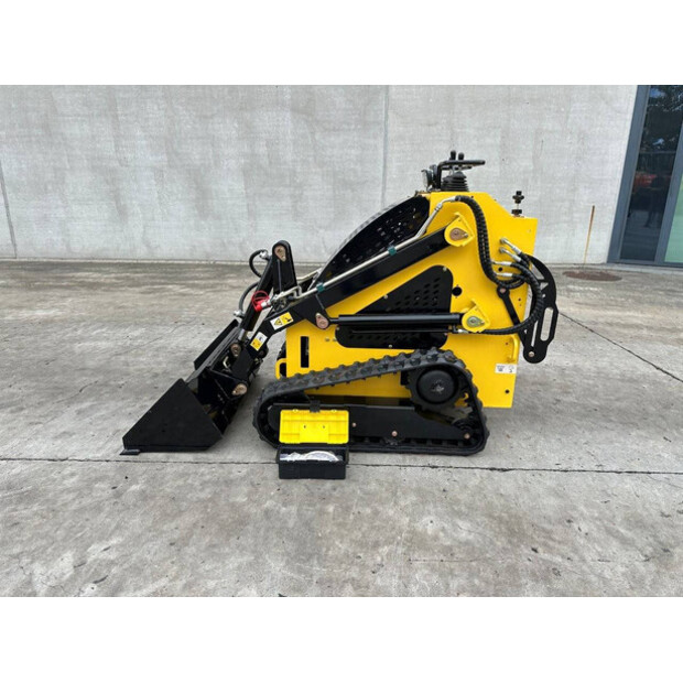 2026 Delano T360-48895671