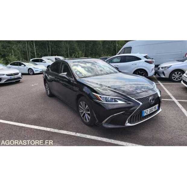 2021 LEXUS ES300H-48901926