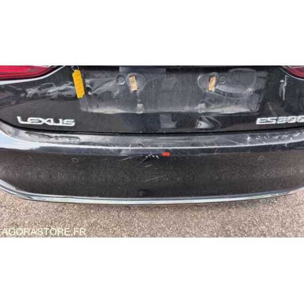 2021 LEXUS ES300H-48901935