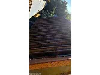 other-1482405-48944040