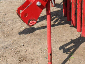 2007-lely-hibiscus-485-48966962