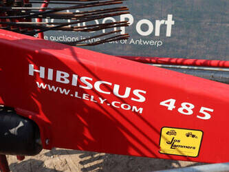 2007-lely-hibiscus-485-48966963