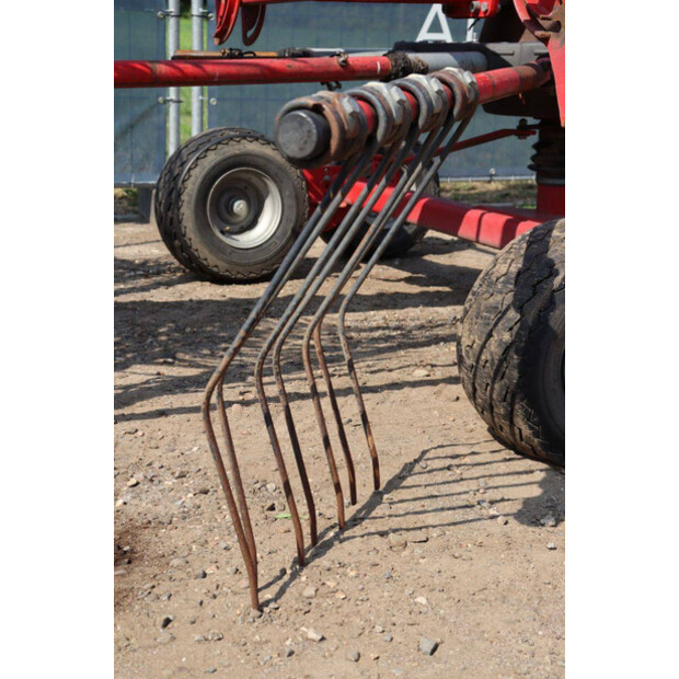 2007 Lely Hibiscus 485-48966964