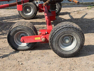 2007-lely-hibiscus-485-48966965