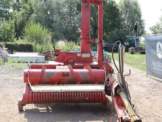 pz-scylla-48967043