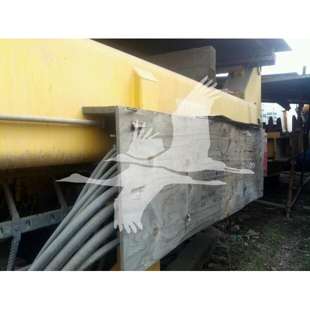 2002 ويرز PBA818-48981377