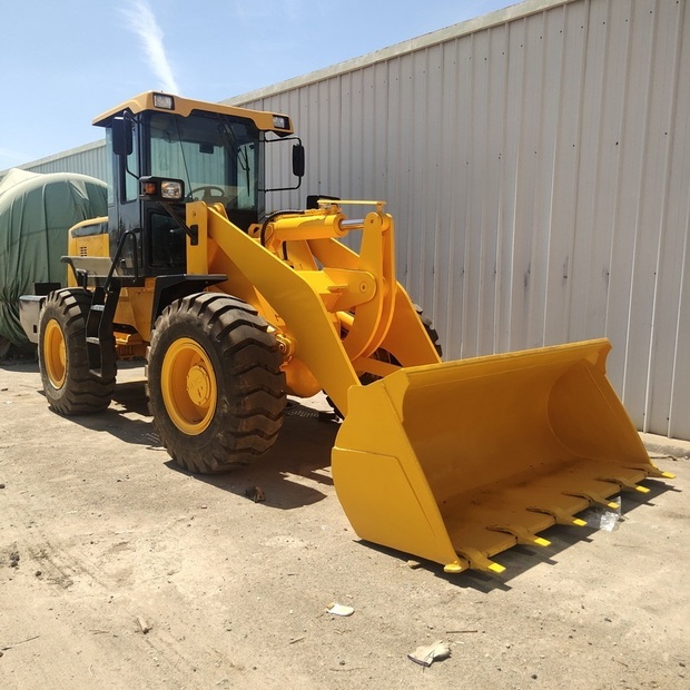 2024 SDLG LG936L-48987388